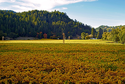 playtime playzone login